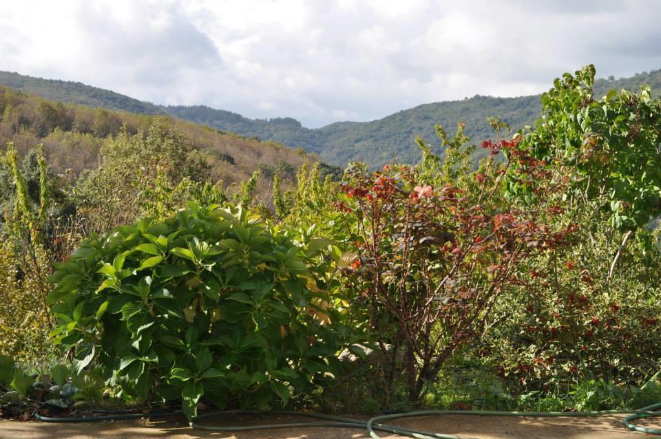 Mattale Villa Tonara Exterior foto
